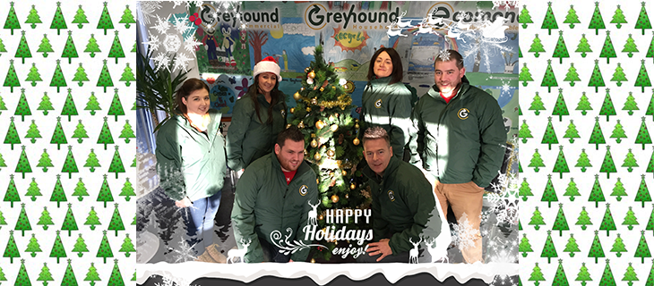 Greyhound’s Christmas Wish