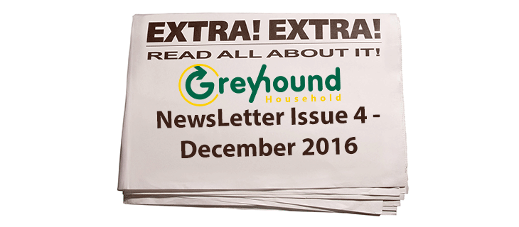 Greyhound Household Newsletter – Issue 4