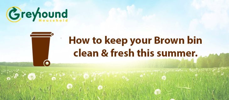 Keeping Your Brown Bin Clean & Fresh During The Summer