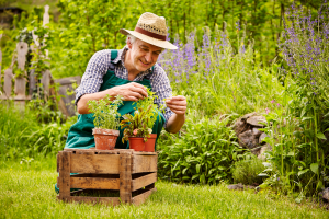 Man tending to his poted plants in a garden