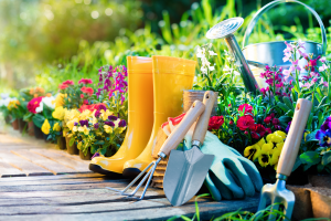 Gardening tools, welly boots and flower beds
