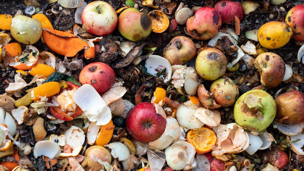 The Impact of Food Waste on the Environment: Why It’s Time to Take Action