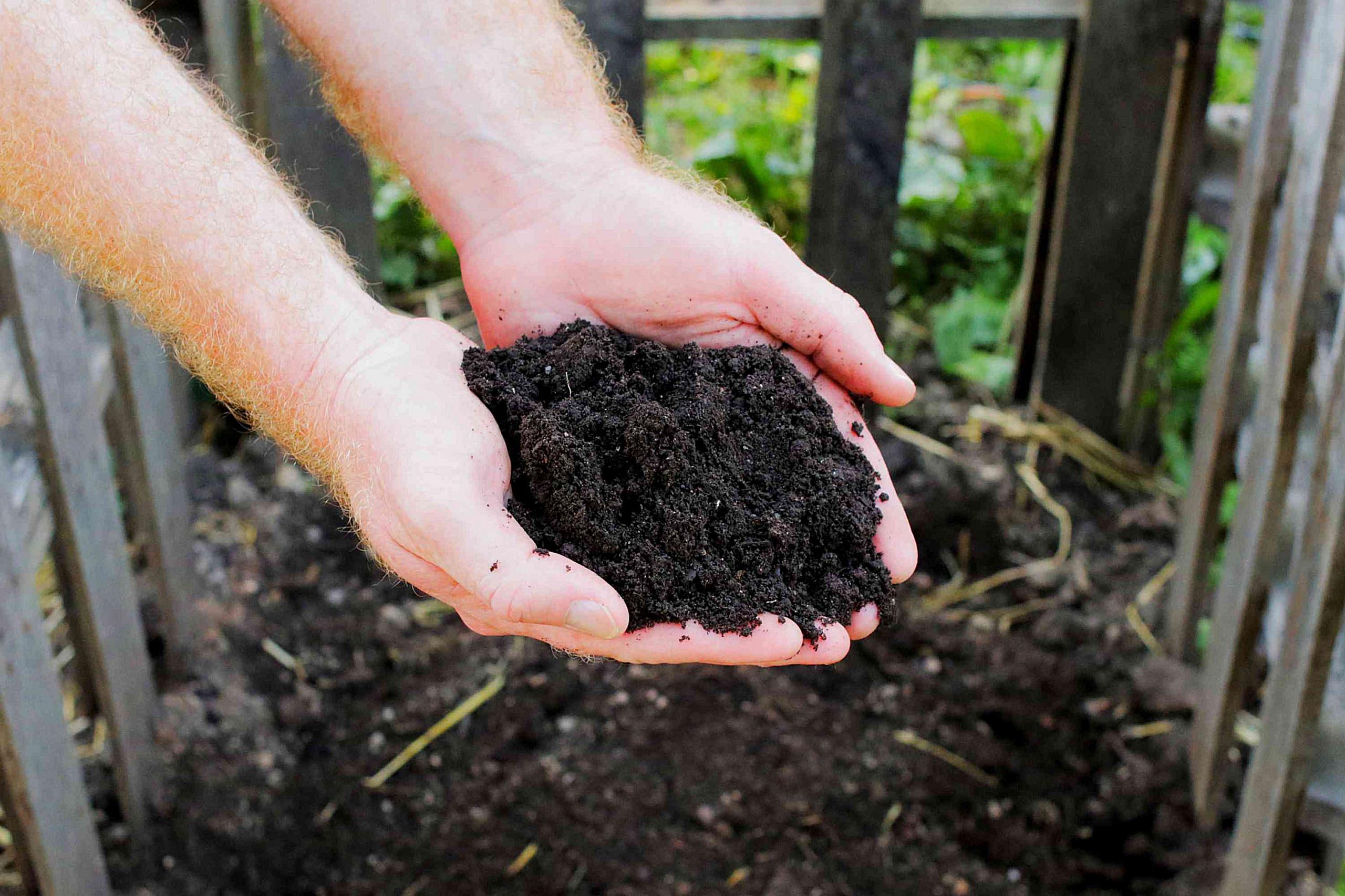 How to Start a Compost Garden: A Step-by-Step Guide