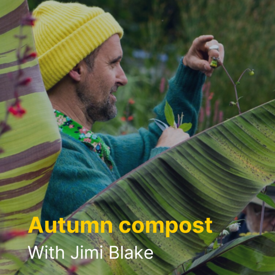 A picture of Irish gardener Jimi Blake above text reading Autumn Compost 