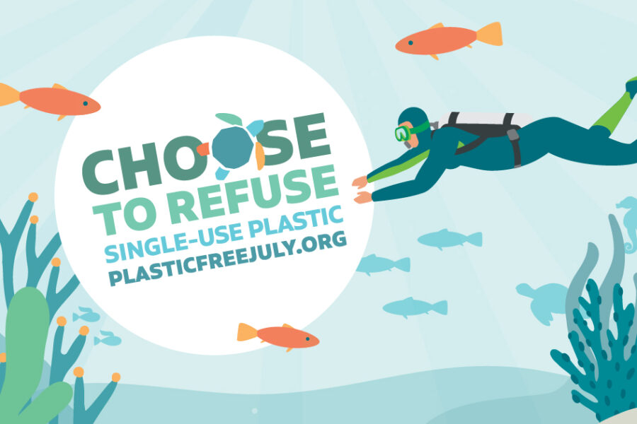 Plastic Free July Image showing a clean ocean with the Plastic Free July link to their website